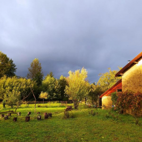 Ohikoa
